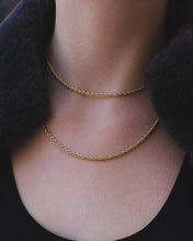 Load image into Gallery viewer, ALICE