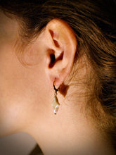 Load image into Gallery viewer, ESTELLA Perlenohrringe